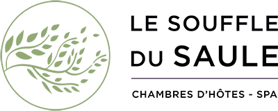 LE SOUFFLE DU SAULE