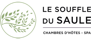 LE SOUFFLE DU SAULE